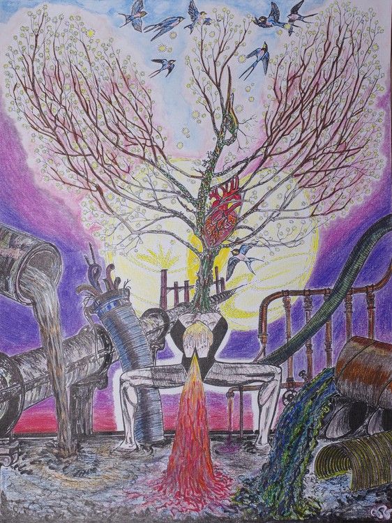 L'Oiseau de feu, dessin, 24 x 32 cm